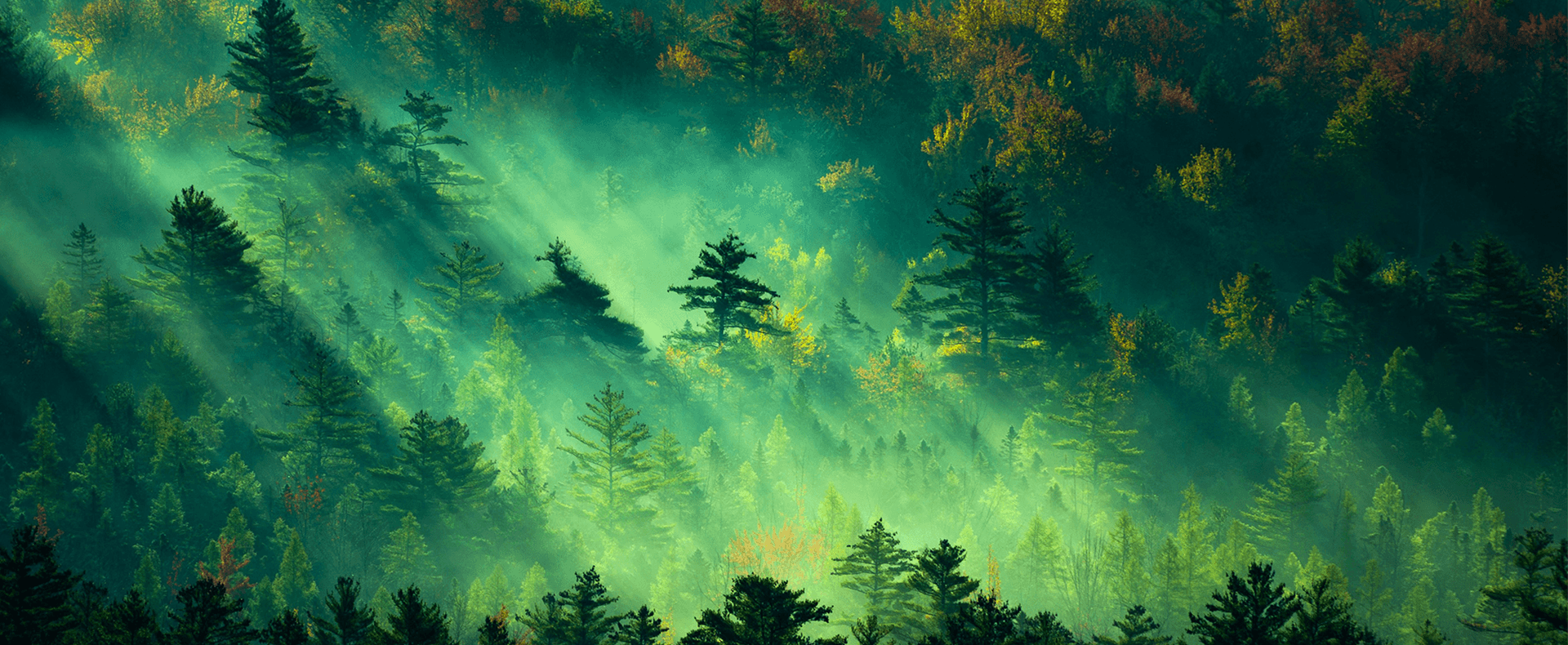 Additives For Oil And Gas Production