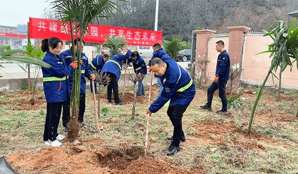 Dongzheng Chemical 2025 Tree Planting Day Activity: Building a Green Homeland Together, Sharing an Ecological Future(pic1) Dongzheng Chemical 2025 Tree Planting Day Activity: Building a Green Homeland Together, Sharing an Ecological Future(pic1)