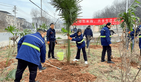 Dongzheng Chemical 2025 Tree Planting Day Activity: Building a Green Homeland Together, Sharing an Ecological Future(pic2) Dongzheng Chemical 2025 Tree Planting Day Activity: Building a Green Homeland Together, Sharing an Ecological Future(pic2)