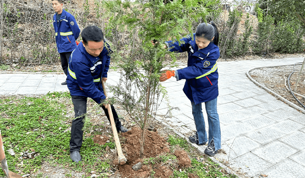 Dongzheng Chemical 2025 Tree Planting Day Activity: Building a Green Homeland Together, Sharing an Ecological Future(pic3) Dongzheng Chemical 2025 Tree Planting Day Activity: Building a Green Homeland Together, Sharing an Ecological Future(pic3)