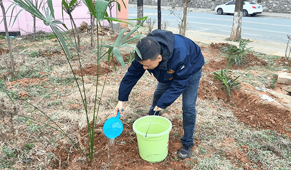Dongzheng Chemical 2025 Tree Planting Day Activity: Building a Green Homeland Together, Sharing an Ecological Future(pic5) Dongzheng Chemical 2025 Tree Planting Day Activity: Building a Green Homeland Together, Sharing an Ecological Future(pic5)