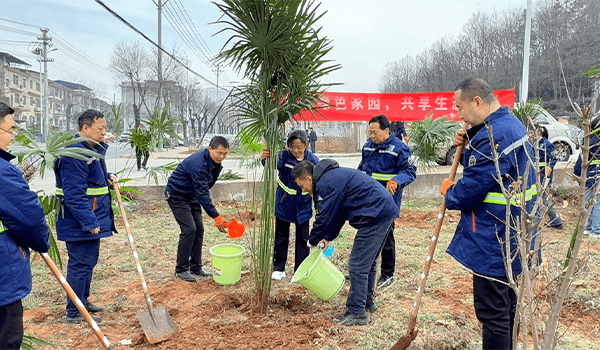 Dongzheng Chemical 2025 Tree Planting Day Activity: Building a Green Homeland Together, Sharing an Ecological Future(pic6) Dongzheng Chemical 2025 Tree Planting Day Activity: Building a Green Homeland Together, Sharing an Ecological Future(pic6)